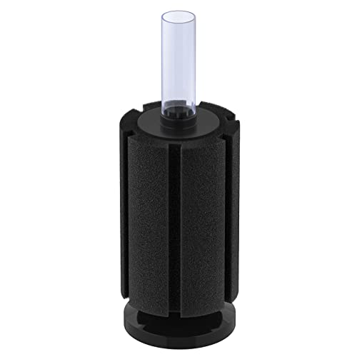 Pawfly Schwammfilter Aquarium Klein Aquarium Bio Schwammfilter Leise für Bettas Brut, Garnelen & Kleine Fische – Schaumstofffilter für Teiche bis 80 Liter von Pawfly