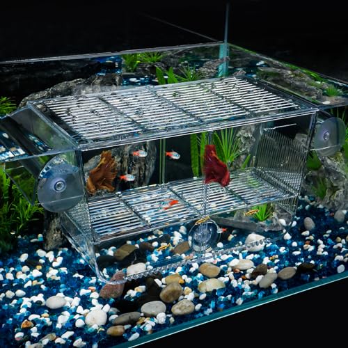 Pawfly Aquarium Fischbrutkasten Aquarium Brutkasten mit 6 Saugnäpfen Acryl Brutkasten für Babyfische Garnelen Betta Großer Eingewöhnungskasten für Aggressive Fische Guppy Platy Pawfly Aquarium Fischbrutkasten Aquarium Brutkasten mit 6 Saugnäpfen Acryl Brutkasten für Babyfische Garnelen Betta Großer Eingewöhnungskasten für Aggressive Fische Guppy Platy von Pawfly
