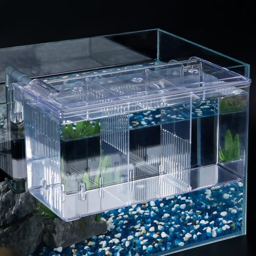Pawfly Aquarium Fischbrutkasten Fischbecken Brutkasten Acryl Fischbrutkasten Brutkasten für Babyfische Garnelen Betta Clownfisch Großer Eingewöhnungskasten Isolationskasten für aggressive Fische Guppy von Pawfly
