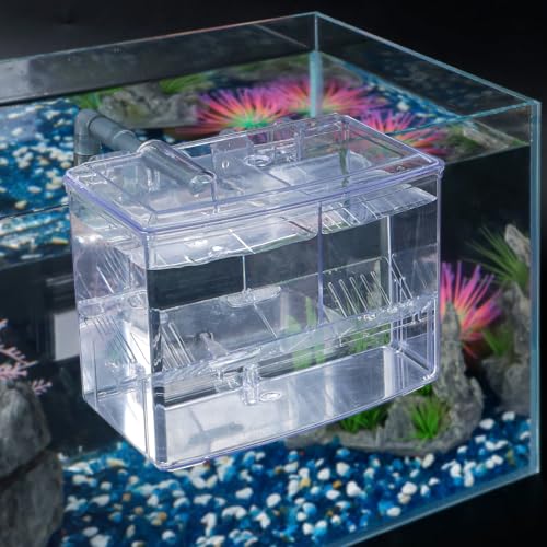 Pawfly Aquarium Fischbrutkasten Fischbecken Brutkasten Acryl Fischbrutkasten Brutkasten für Babyfische Garnelen Betta Clownfisch Kleiner Eingewöhnungskasten Isolationskasten für aggressive Fische Gupp von Pawfly