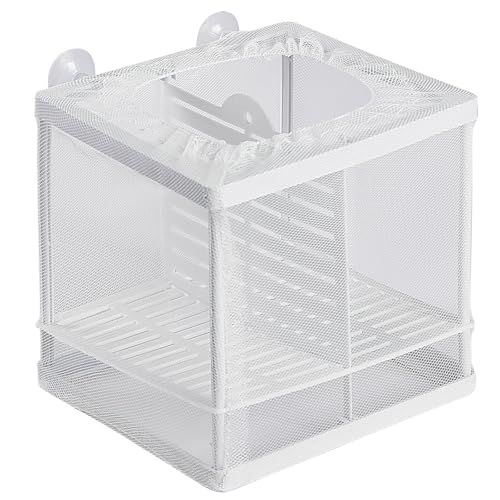 Pawfly Aquarium Fischzucht Netz Fisch Brut Box mit Nylon Mesh und Saugnäpfen Fisch Trennnetz Kleine Isolierbox für Fischbrut Laichkasten Aufzuchtbehälter für Jungfische Garnelen und Kampffische Betta Pawfly Aquarium Fischzucht Netz Fisch Brut Box mit Nylon Mesh und Saugnäpfen Fisch Trennnetz Kleine Isolierbox für Fischbrut Laichkasten Aufzuchtbehälter für Jungfische Garnelen und Kampffische Betta von Pawfly