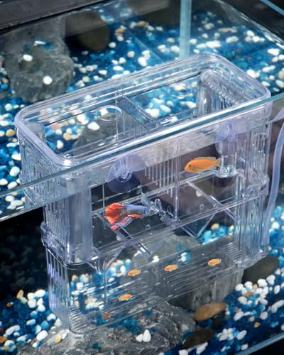 Pawfly Aquarium Fischzuchtbox Transparente Kunststoff-Zuchtbox für Aquarium Brutkasten Brutkasten Brutkasten für Baby Fische Garnele Betta Clownfisch Große Isolationsbox für Aggressive Fische Guppy von Pawfly
