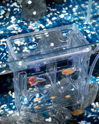 Pawfly Aquarium Fischzuchtbox Transparente Kunststoffzuchtbox für Aquarium Brutkasten Brutkasten Brutkasten für Babyfisch Garnele Betta Clownfisch Medium Isolationsbox für Aggressive Fische Guppy von Pawfly