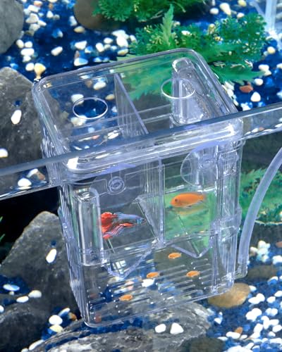 Pawfly Aquarium Fischzuchtbox Transparente Plastikzuchtbox für Fischbecken Brutkasten Brutkasten für Babyfische Shrimps Kleine Isolationsbox für Aggressive Fische Guppy von Pawfly