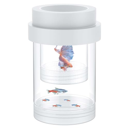 Pawfly Zuchtbox für Aquarium, Aquarium Fischzuchtbox, schwimmende Guppy Zuchtbox, Baby Fisch Separator für Aquarium, Plastik Brutkasten Isolationsbox für Garnelen Betta Clownfisch, Medium von Pawfly