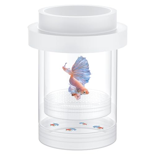 Pawfly Zuchtbox für Aquarium, Aquarium Fischzuchtbox, schwimmende Guppy Zuchtbox, Baby Fisch Separator für Aquarium, Plastik Brutkasten Isolationsbox für Garnelen Betta Clownfisch, groß von Pawfly