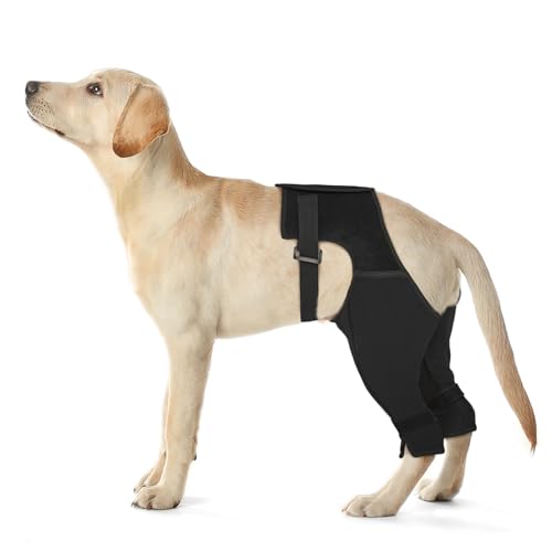 Pawfun Hunde-Hinterbeinmanschette gegen Lecken, atmungsaktive Anti-Rutsch-Wiederherstellungsmanschette für Wundschutz nach ACL/TPLO-Operationen, Hot Spots, Leckgranulomen – Alternative für die von Pawfun