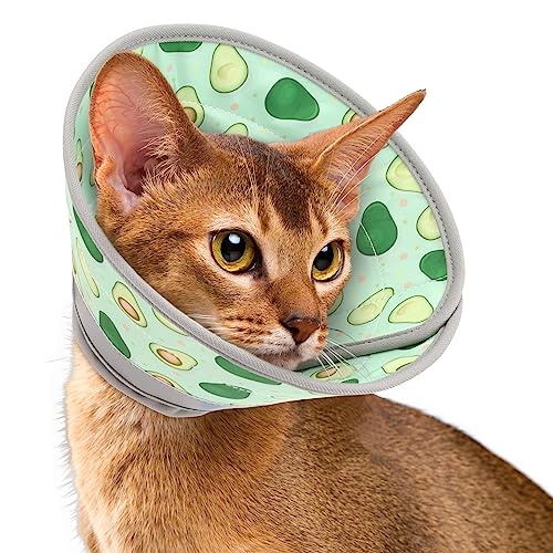 Pawfun Katzenkegelhalsband, weich, bequem, Katzenerholungshalsband, Haustierkegel für kleine große Katzen, leichtes elisabethanisches Halsband für Katzen, Kätzchen nach der Operation, verhindert das von Pawfun