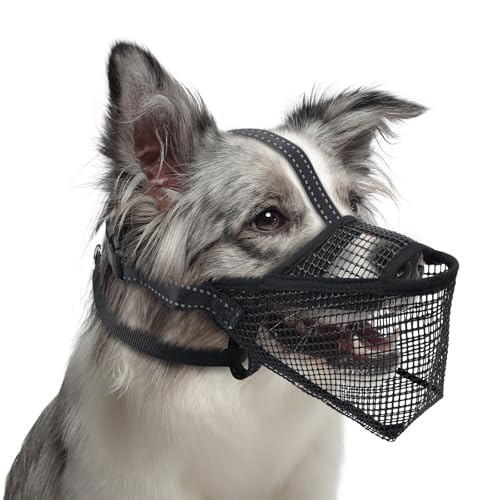 Pawfun Mesh Hund Maulkorb, Atmungsaktiver weicher Hund Maulkorb mit 3 reflektierenden Riemen für sicheren Sitz, verhindert Beißen, Kauen Scavenging - Einstellbar für Kleine Mittlere Große Hunde, M von Pawfun
