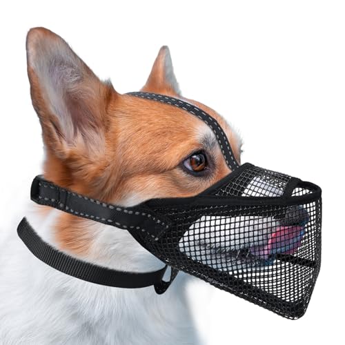 Pawfun Mesh Hund Maulkorb, Atmungsaktiver weicher Hund Maulkorb mit 3 reflektierenden Riemen für sicheren Sitz, verhindert Beißen, Kauen Scavenging - Einstellbar für Kleine Mittlere Große Hunde, S von Pawfun