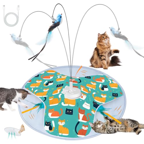 Pawhims Katzenspielzeug (Kätzchen) von Pawhims