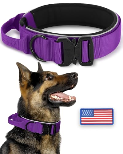Dickes, breites, reflektierendes, strapazierfähiges Hundehalsband für mittelgroße, starke Hunde, strapazierfähiges, verstellbares Nylon-Hundehalsband mit Schnellverschluss-Metallschnalle und weich von PawistaPal