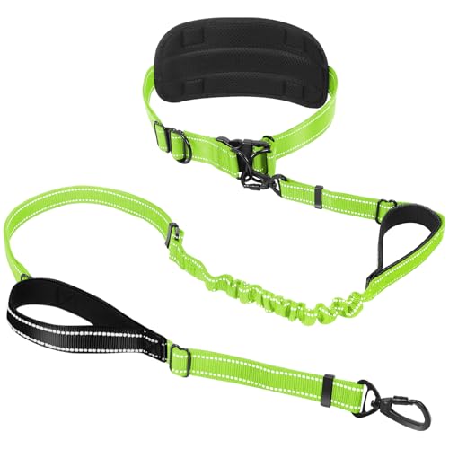 Strapazierfähige, freihändige Hundeleine für große und mittelgroße Rassen, 1,8–2,4 m, reflektierendes, starkes Nylon, Bungee-Leine mit breitem Taillengürtel, doppelt gepolsterter Griff für Strapazierfähige, freihändige Hundeleine für große und mittelgroße Rassen, 1,8–2,4 m, reflektierendes, starkes Nylon, Bungee-Leine mit breitem Taillengürtel, doppelt gepolsterter Griff für von PawistaPal
