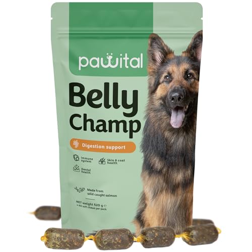 Pawital Belly Champ - Natürliche Hundeleckerlis mit Wildlachs, Probiotika für die Verdauung von Hunden, Darmgesundheit und Immunität von Hunden. Menschenqualität. Lachsgeschmack, 120 Kausnacks von Pawital