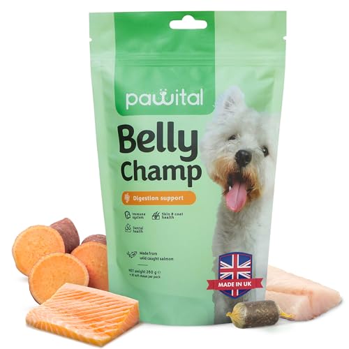 Pawital Belly Champ - Natürliche Hundeleckerlis mit Wildlachs, Probiotika für die Verdauung von Hunden, Darmgesundheit und Immunität von Hunden. Menschenqualität. Lachsgeschmack, 120 Kausnacks von Pawital