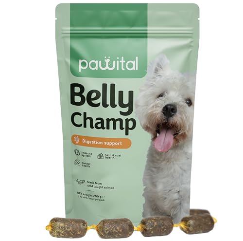 Pawital Belly Champ - Natürliche Hundeleckerlis mit Wildlachs, Probiotika für die Verdauung von Hunden, Darmgesundheit und Immunität von Hunden. Menschenqualität. Lachsgeschmack, 30 Kausnacks von Pawital