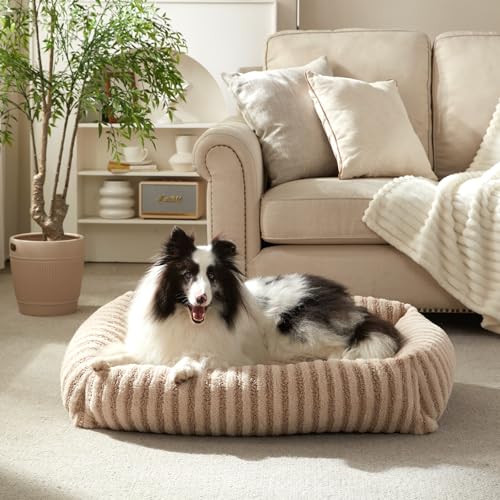 Pawk Hundebett Grosse Hunde – orthopädisches Hundebett, Hundekorb Waschbar mit abnehmbarem Bezug, 20 cm hohe Seitenwände, für Border Collie (76 x 61 x 20 cm) von Pawk