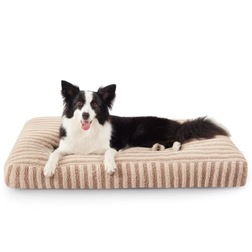 Pawk Hundebett Mittelgroße Hunde, Hundekissen Waschbar Abnehmbar, Hundekorb Flauschig Atmungsaktiv rutschfest, Hundematte für Kleine und Mittelgroße Hunde, 74x53x8cm Pawk Hundebett Mittelgroße Hunde, Hundekissen Waschbar Abnehmbar, Hundekorb Flauschig Atmungsaktiv rutschfest, Hundematte für Kleine und Mittelgroße Hunde, 74x53x8cm von Pawk