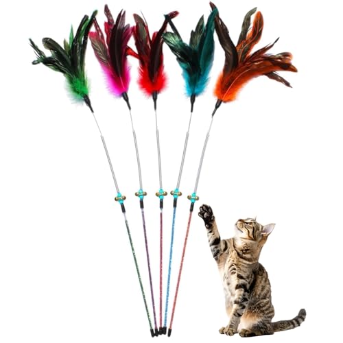 Paws Power Katzenstab Spielzeug Federstab Katzenspielzeug, 5 Stück Interaktives Katzenspielzeug Federn Zauberstab für Indoor-Katzen von Paws Power
