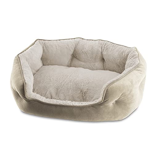 Paws & Claws Arlee Cozy Oval Round Cuddler Pet Dog Bed - Memory Foam - Chew Resistant - Assembled USA, Medium/Large, Sand von Paws and Claws