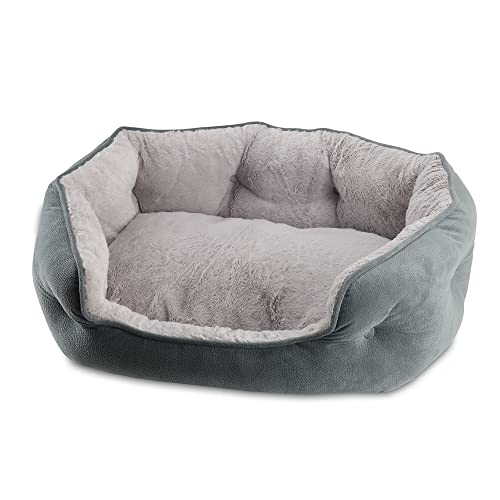 Paws & Claws Arlee Cozy Oval Round Cuddler Pet Dog Bed - Memory Foam - Chew Resistant - Assembled USA, Medium/Large, Gray von Paws and Claws