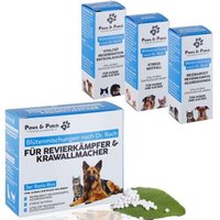 Paws & Patch Paws&Patch Bachblütenmischung 3-er Set von Paws & Patch