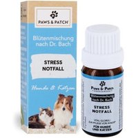 Paws & Patch Paws&Patch Bachblütenmischung von Paws & Patch