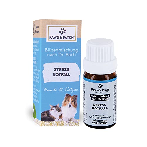 Paws&Patch Stress Notfall Blütenmischung nach Dr. Bach für Hunde & Katzen 10g I Bachblüten Globuli zur Entspannung in Stresssituationen I Beruhigungsmittel von Paws & Patch