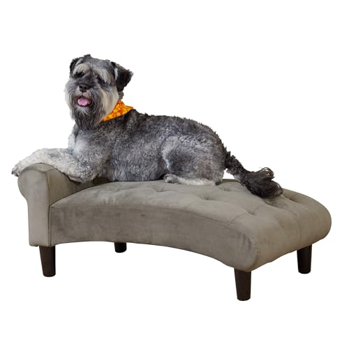 Paws & Purrs Modernes 53,3 cm breites Haustier-Chaiselongue Bett für kleine bis mittelgroße Hunde oder Katzen von Paws & Purrs