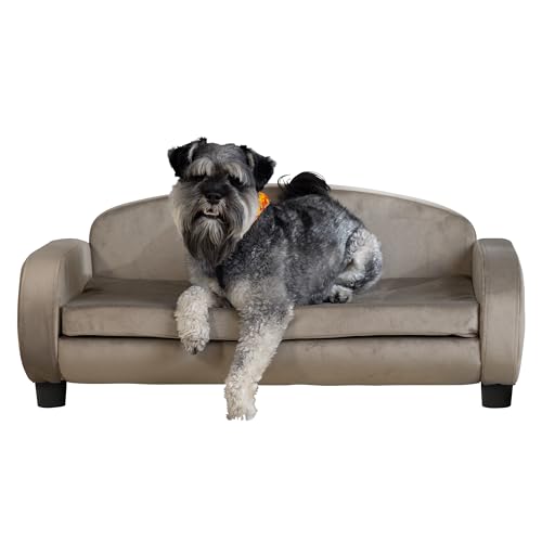 Paws & Purrs Modernes Haustier-Sofa, 90,2 cm breit, für mittelgroße Hunde oder Katzen, mit abnehmbarem/waschbarem Matratzenbezug von Paws & Purrs