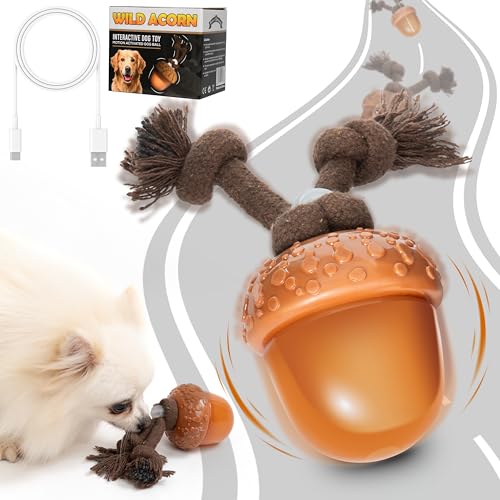 Interaktives Hundespielzeug, bewegungsaktivierter Hundeball für kleine, mittelgroße und große Hunde, wiederaufladbar, intelligentes Hundespielzeug mit LED-Lichtern, automatisches Rollen und Hüpfen, von Paws&Whiskers