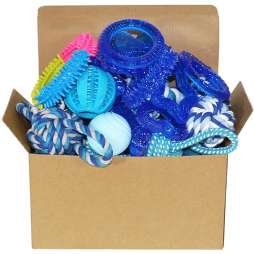 20 Stück Hundespielzeug-Set,Langlebiges Welpen-Kauspielzeug zum Zahnen,Robustes Seilspielzeug für Welpen, Gummispielzeug für Superkauhunde 20 Stück Hundespielzeug-Set,Langlebiges Welpen-Kauspielzeug zum Zahnen,Robustes Seilspielzeug für Welpen, Gummispielzeug für Superkauhunde von PawsAion
