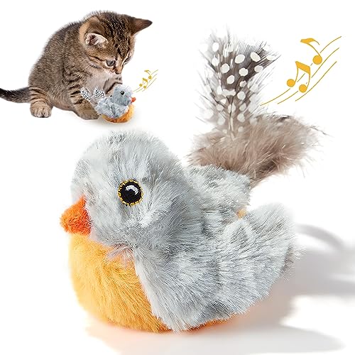 Pawsayes Katzenspielzeug, Interaktive Katze Zwitschern Vogel Spielzeug lustige Melodie Vogel Spielzeug für Katzen Erwachsene Kätzchen, niedlich Plüsch Kitty Spielzeug für Indoor-Katzen Kätzchen von Pawsayes
