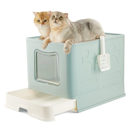 Pawsayes XL Katzentoilette mit Deckel, geschlossen, mit Deckel, extra groß für mittelgroße und große Katzen, Blau Pawsayes XL Katzentoilette mit Deckel, geschlossen, mit Deckel, extra groß für mittelgroße und große Katzen, Blau von Pawsayes