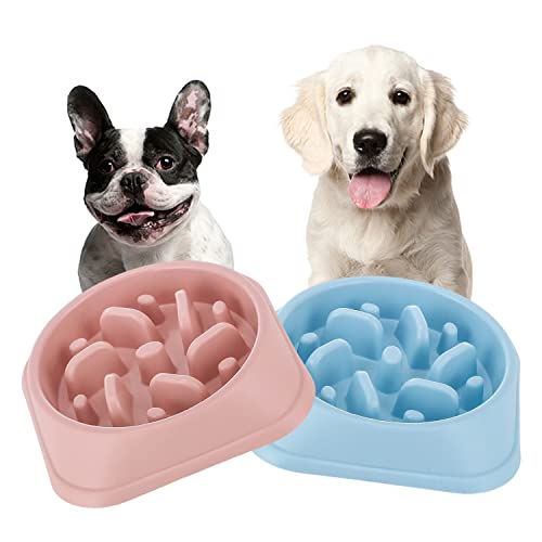 Slow Feeder Hundenapf, Labyrinth-Design, langsamer Fressnapf, kleine langsam fressende Hundenapf, Labyrinth-Design, langsamer Fressnapf (Rosa + Blau) von Pawsayes