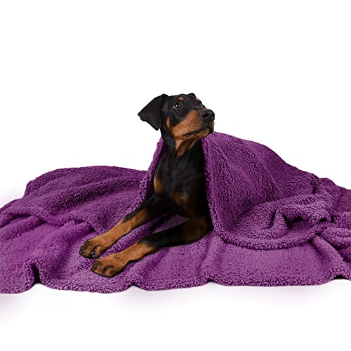Fleece-Decke für Hunde, große waschbare, weiche, warme, Flauschige Sherpa-Plüsch-Decken für Hunde, Welpen, Katzen, doppelte Dicke, Lila 152 x 127 cm von Pawsee