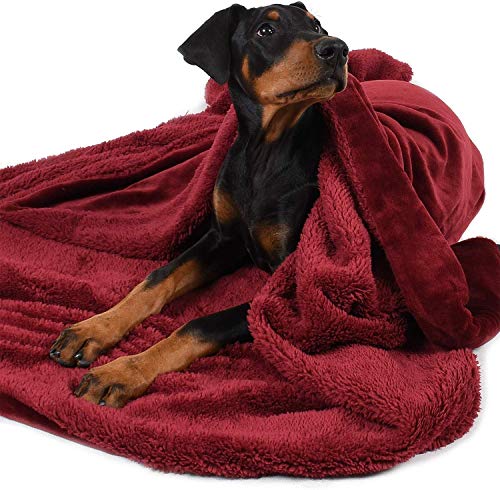 Fleece Haustierdecke Flauschig Waschbar Sherpa Plüsch Kuscheldecke Hundebett für Hunde Welpen Katzen,152x127 cm Fleece Haustierdecke Flauschig Waschbar Sherpa Plüsch Kuscheldecke Hundebett für Hunde Welpen Katzen,152x127 cm von Pawsee