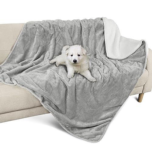 Pawsee Wasserdicht Hundedecke Katzendecke mit Pfotenabdruck, Waschbar Fleece Sherpa Hundehandtuch für Couch Bett Outdoor, Wasserdichte Tagesdecke Bettschutz Sofa Überwurf Sofabezug, 150 x 130 cm, Grey Pawsee Wasserdicht Hundedecke Katzendecke mit Pfotenabdruck, Waschbar Fleece Sherpa Hundehandtuch für Couch Bett Outdoor, Wasserdichte Tagesdecke Bettschutz Sofa Überwurf Sofabezug, 150 x 130 cm, Grey von Pawsee
