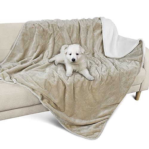 Pawsee Wasserdicht Hundedecke Katzendecke mit Pfotenabdruck, Waschbar Fleece Sherpa Hundehandtuch für Couch Bett Outdoor, wasserdichte Tagesdecke Bettschutz Sofa Überwurf Sofabezug, 150 x 130 cm, Pawsee Wasserdicht Hundedecke Katzendecke mit Pfotenabdruck, Waschbar Fleece Sherpa Hundehandtuch für Couch Bett Outdoor, wasserdichte Tagesdecke Bettschutz Sofa Überwurf Sofabezug, 150 x 130 cm, von Pawsee