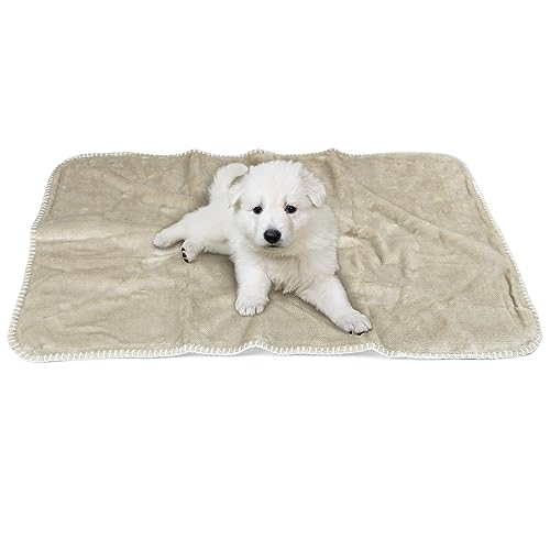 Pawsee Wasserdicht Hundedecke Katzendecke mit Pfotenabdruck, Waschbar Fleece Sherpa Hundehandtuch für Couch Bett Outdoor, wasserdichte Tagesdecke Bettschutz Sofa Überwurf Sofabezug, 75 x 50 cm, Taupe Pawsee Wasserdicht Hundedecke Katzendecke mit Pfotenabdruck, Waschbar Fleece Sherpa Hundehandtuch für Couch Bett Outdoor, wasserdichte Tagesdecke Bettschutz Sofa Überwurf Sofabezug, 75 x 50 cm, Taupe von Pawsee