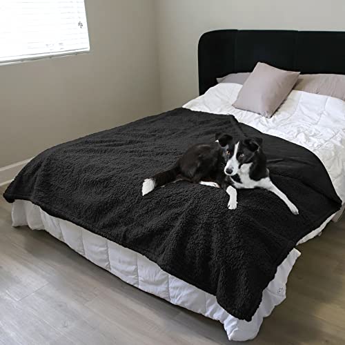 Pawsee Wasserdicht Hundedecke Katzendecken Waschbar, wasserdichte Decke für Große Hunde Sofaschutz Couch Überwurf, Flauschig Wasserdicht Liebesdecke für Schutzdecke Tagesdecke, L 203 x 152cm Schwarz von Pawsee