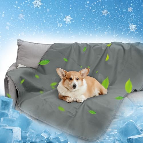 Pawsee wasserdichte Kühldecke Hunde Katze, Waschbar Hundedecke Kühlend, wasserdichte Hunde Kühlmatte für Sofa Bett Outdoor, Verwendbarer Überwurf Couchbezug Möbelschutz, 130 x 75 cm, Grau Pawsee wasserdichte Kühldecke Hunde Katze, Waschbar Hundedecke Kühlend, wasserdichte Hunde Kühlmatte für Sofa Bett Outdoor, Verwendbarer Überwurf Couchbezug Möbelschutz, 130 x 75 cm, Grau von Pawsee