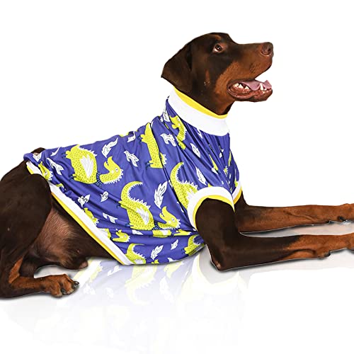Pawsindia Dracarys Bedrucktes T-Shirt für Hunde, weiches und atmungsaktives Material, Blau, Größe XS von Pawsindia