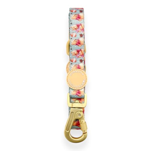 Pawsome Paws Boutique Winnie Puuh Hundeleine, stilvolle Disney-Hundeleine mit weichem Griff und robustem Karabiner-Clip, 1,5 m Pawsome Paws Boutique Winnie Puuh Hundeleine, stilvolle Disney-Hundeleine mit weichem Griff und robustem Karabiner-Clip, 1,5 m von Pawsome Paws Boutique