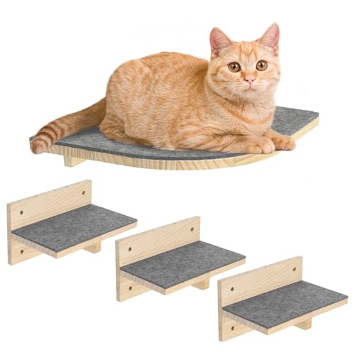 Pawtasy Kletterwand Katzen Katzentreppe Wand 4er-Set Katzen Kletterwand Set Stabiler Katzenwand Naturholz Katzenleiter Katzenwandparkour für Katzen Pawtasy Kletterwand Katzen Katzentreppe Wand 4er-Set Katzen Kletterwand Set Stabiler Katzenwand Naturholz Katzenleiter Katzenwandparkour für Katzen von Pawtasy