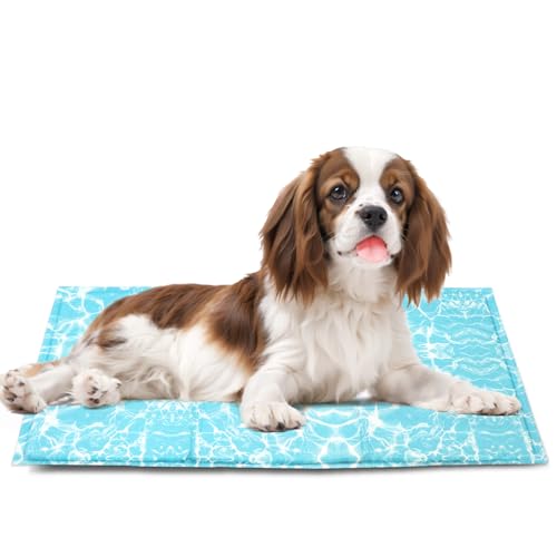 Pawtasy Kühlmatte Hund, Kühldecke für Hunde und Katzen, Kühlkissen mit Ungiftiges Gel, Hundekühlmatte Selbstkühlend für Große Mittelgroße Haustiere, Kühlende Hundematte - S 50 x 40 cm von Pawtasy
