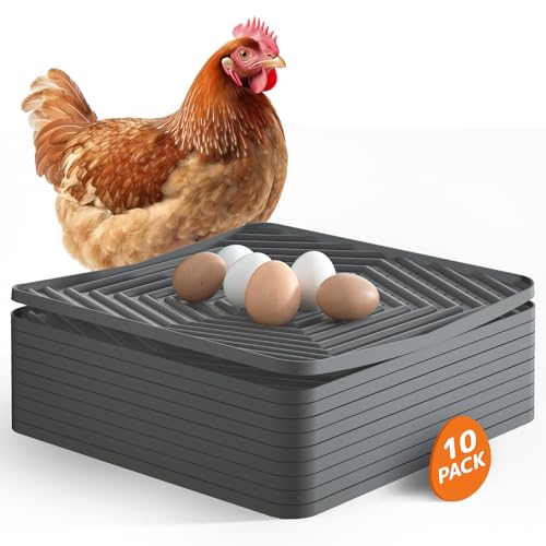 Pawtners Hühner-Nistunterlagen, langlebige Nistkasten-Pads für Hühnerstall, waschbar, Nistkasteneinlagen für Hühnerlegekästen, 30,5 x 30,5 cm, Hühner-Nistunterlage zum Eierlegen, 10 Stück Pawtners Hühner-Nistunterlagen, langlebige Nistkasten-Pads für Hühnerstall, waschbar, Nistkasteneinlagen für Hühnerlegekästen, 30,5 x 30,5 cm, Hühner-Nistunterlage zum Eierlegen, 10 Stück von Pawtners