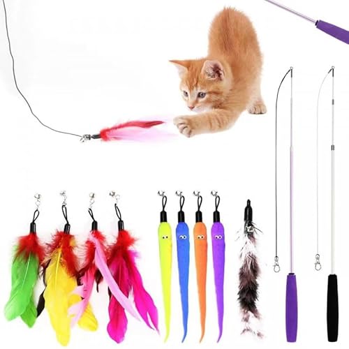 Katzenfeder-Teaser-Set, 12-teilig, interaktives Spielzeug für Katzen, 2 einziehbare Katzenstab, lustige Stäbchen und 10 Ersatz-Federspielzeuge mit Glocke für Kätzchenfänger, Spaß beim Trainieren und Katzenfeder-Teaser-Set, 12-teilig, interaktives Spielzeug für Katzen, 2 einziehbare Katzenstab, lustige Stäbchen und 10 Ersatz-Federspielzeuge mit Glocke für Kätzchenfänger, Spaß beim Trainieren und von Pawvita