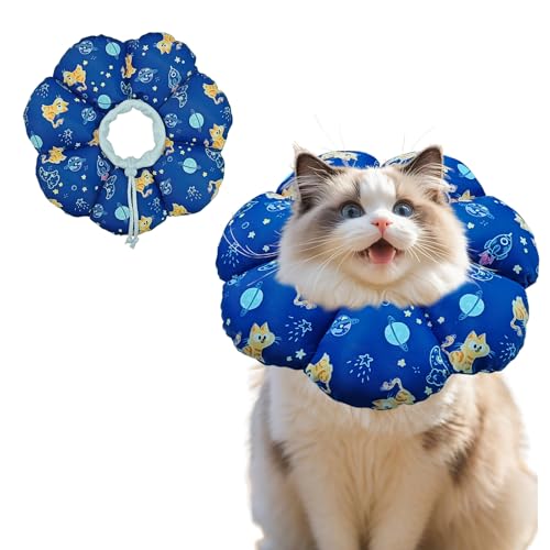 Weiches Katzenhalsband für kleine Katzen, schützend und verstellbar nach Operationen, bequem, leicht, elisabethanisch, behindert nicht die Sicht Weiches Katzenhalsband für kleine Katzen, schützend und verstellbar nach Operationen, bequem, leicht, elisabethanisch, behindert nicht die Sicht von Pawvita