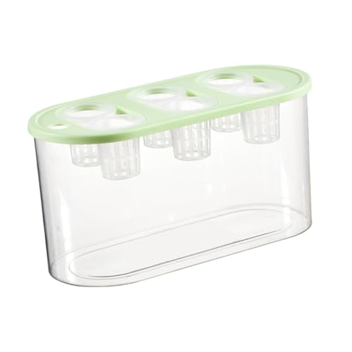 Hydrokultur-Züchterbox, Mikro-Landschafts-Tank mit 6 Löchern, für den Innenbereich, Mini-Aquarium für Gemüse, Pflanzen und Fisch, Grün von PawwJoy